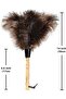 Ostrich Feather Duster Small - Premium Natural Feather Dust Brush with Plastic Handle - 2
