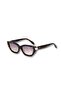 Mbs-S1049 C2 53-18-145 Brown Women's Sunglasses - 3