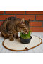 Handcrafted Cat Dog Hamster Guinea Pig Rabbit Feeding Mat Food Pad Multi-Purpose Mat - 2