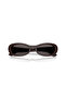 5582S 225287 53 Women's Sunglasses - 5