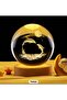 Dolphin Globe