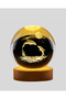 Dolphin Globe - 2