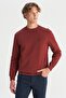 Crew Neck Claret Red Men's Sweatshirt W2520255169 Claret Red Sweatshirt