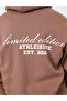 Men Brown Athleisure Oversized Fleece Hoodie - 5