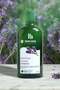 Anti-Frizz Lavender Shampoo & Conditioner Bundle with Shea Butter – 400ml Each - 2