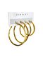 Women's Steel 2 Size Hoop Earring Set 3 cm 4 cm Non-Tarnish 4 Pieces - 2
