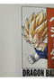 Men Regular Fit Round Neck Short Sleeves Dragon Ball Z Print T-shirt - 4
