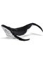 Baby Whale Figurine - Hand-Painted Marine Mammal Model (56035) - 5