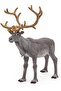 WILD ANIMAL KINGDOM Figurine, 50117 Reindeer, Multicolour - 7