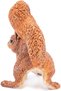 50255 Squirrel WILD ANIMAL KINGDOM Figurine, Multicolor - 8