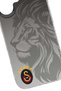 iPhone 17 Compatible 5 Star Aslan Premium Licensed Phone Case - 2
