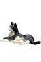 Cat Lying Black and White