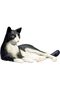 Cat Lying Black and White - 3