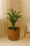 Jute Wicker Multi-Purpose Decorative Organizer Flower Pot Basket Garden Organizer Basket Width 20 Length 15 cm - 2