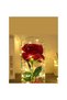 Enchanted Rose in Glass Dome – Gift for Women, Girlfriend, Valentine’s Day, Mother’s Day, Christmas - 3