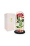 Enchanted Rose in Glass Dome – Gift for Women, Girlfriend, Valentine’s Day, Mother’s Day, Christmas