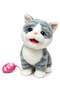 Musical Sensory Cat Toy for Kids RC Leash Electronic Pet Kids Toy Interactive Fluff Plush Toy (Blue)