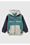 Boy's Dark Green-Grey Front Logo Printed Zippered Regular Fit Hooded Sweatshirt