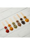 6 Boxwood Seasoning Spoons 8 cm