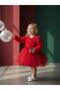 Baby Girl Floral Patterned Design Red Dress - 6