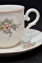 Rosette Porcelain Tea/Coffee Cup and Saucer 2 Pieces 120 ml - 2