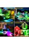 ROSHWEY Solar Outdoor Lights, 9 Lighting Modes, Multicolor, 4-Pack - 4