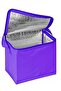 25 Liter Foil Insulated Yellow Thermal Bag - 3