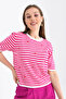 Women's Crew Neck Short Sleeve Striped Knit Sweater 10082 - 4