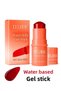 Eelhoe Water Jelly Tint Stick – Gel Consistency |   Yanak – Eye – Lip Multi-Purpose Tint - 3