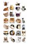 Funny Cat Facial Expressions Sticker Set – 22X30 cm |   Laptop & Water Bottle Compatible Fun Stickers