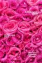 Care Oil Moisturizer 10 ml Rose Oil Thermal for Delicate Skin - 3