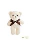 Valentine's Day Gift Teddy Bear Bouquet and Plush Bear Gift Set - 4