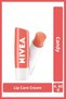 Peach Moisturizing Lip Care Cream and Gloss 4.8Gr, Peach Flavor, Shimmering Coral Color