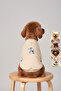 Embroidery Printed Small Breed Dog Sweatshirt, Balloon Dog Clothing