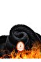 Rieti Model Pantyhose Woven Plush Keeping Warm and Tightening Black Color - 5