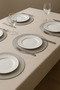 6-Piece Stain-Resistant Silver Gray Plate Set_ Handmade Stylish American Serving Plate Coasters - 3