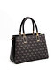 Women's Hand and Crossbody Bag 1000 - 4