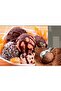 22 cm Stainless Steel Ice Cream Scoop - Large Cookie Scoop - 5