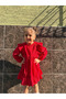Baby Girl Dress Long Sleeve Ruffle Detail Birthday Party Wedding Special Occasion Evening Dress Girls' Clothing - 2