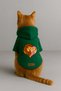 Printed Dog and Cat Clothing & Dress with Fleece Inside - Green Color K Hooded Hoodie B752E - 3