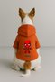 Printed Dog and Cat Clothing & Dress with Fleece Inside - Orange Color K Hooded Hoodie B3Eb0 - 2