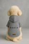 Printed Dog and Cat Clothing & Dress with Fleece Inside - Grey Color K Hooded Hoodie B8B9A - 2