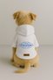 Printed Dog and Cat Outfit & Dress with Fleece Inside - White Color K Hooded Hoodie Bf57F - 2