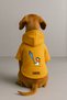 Printed Dog and Cat Clothing & Dress with Fleece Inside - Yellow Color K Hooded Hoodie B9989 - 2