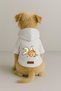 Printed Dog and Cat Clothing & Dress with Fleece Inside - White Color K Hooded Hoodie Be883 - 2