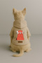 Printed Dog and Cat Clothing & Dress with Fleece Inside - Beige Color K Hooded Hoodie Bb058 - 2