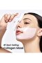 BioDance Collagen Night Mask – Intense Hydration & Skin Radiance – 34g - 4