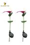 Two Solar Calla Lily LED Fiber Optic Colorful Garden Lawn Lights - 5