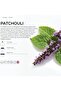 Diffuser Aroma Patchouli - (500ml) - 3
