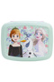 Frozen Printed Bentopro Rectangular Sandwich Box
